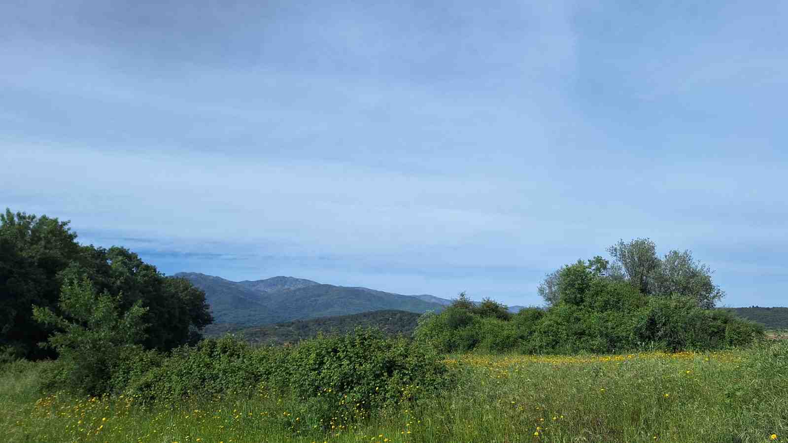 WhatsApp Image 2024-04-24 at 7.43.30 PM_2_11zon