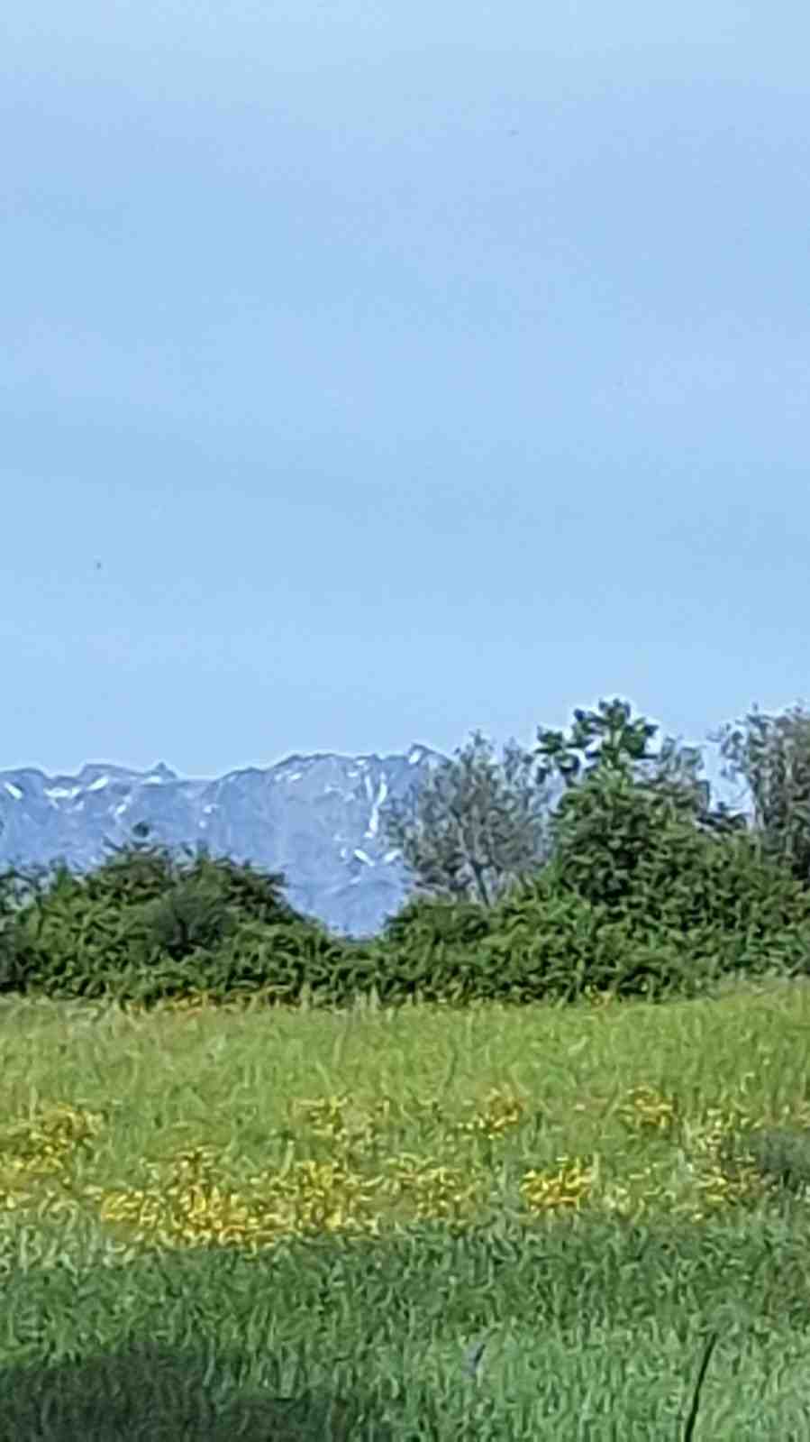 WhatsApp Image 2024-04-24 at 7.47.35 PM (1)_12_11zon