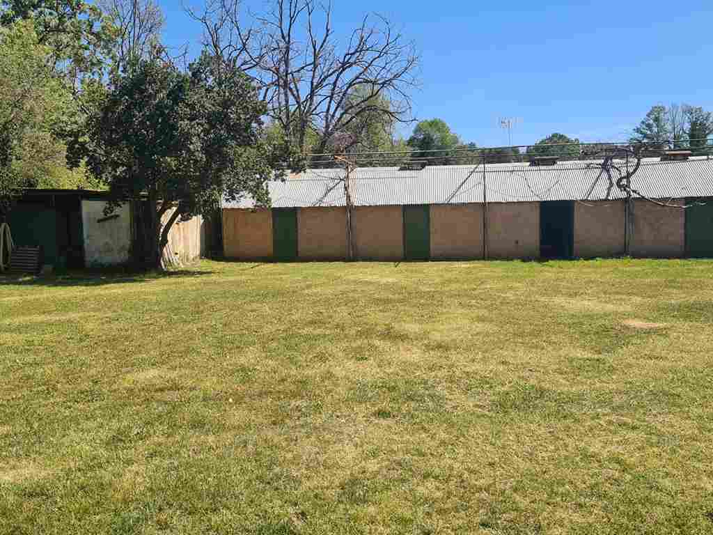 WhatsApp Image 2023-04-09 at 12.28.35_11_11zon