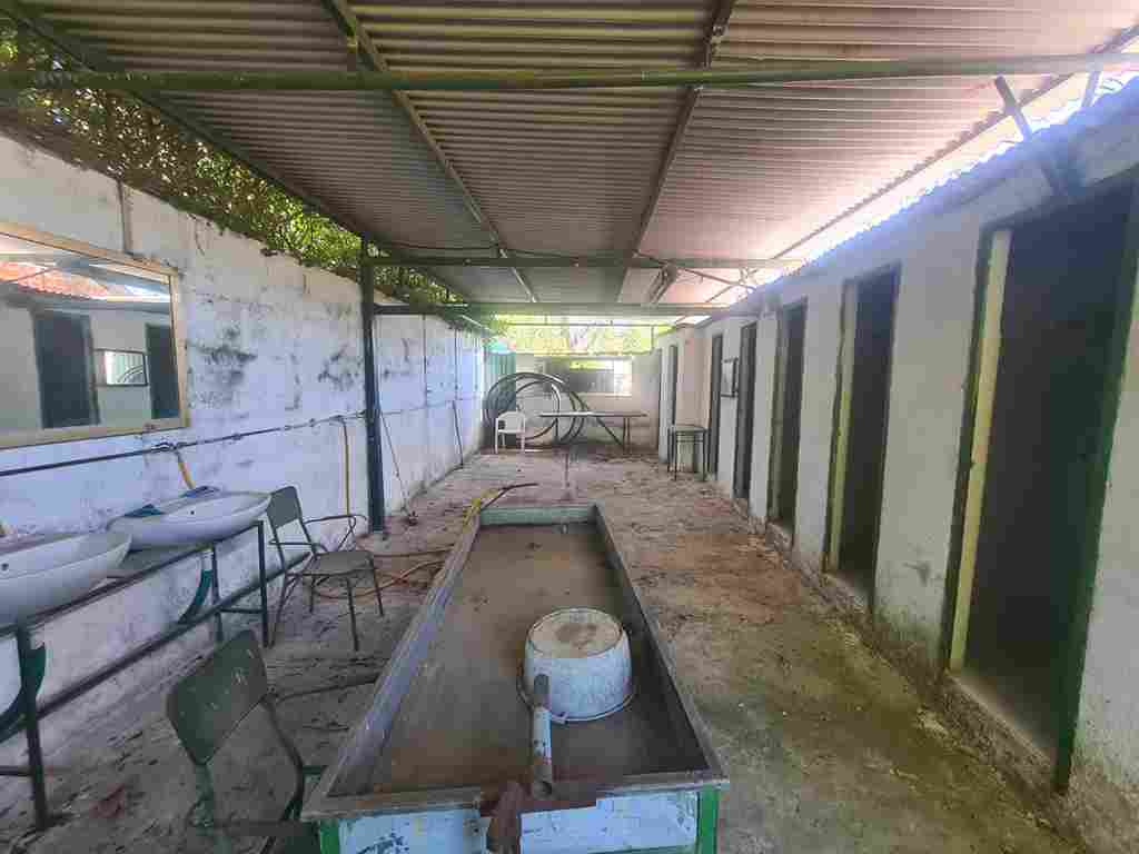 WhatsApp Image 2023-04-12 at 23.20.18 (1)_20_11zon