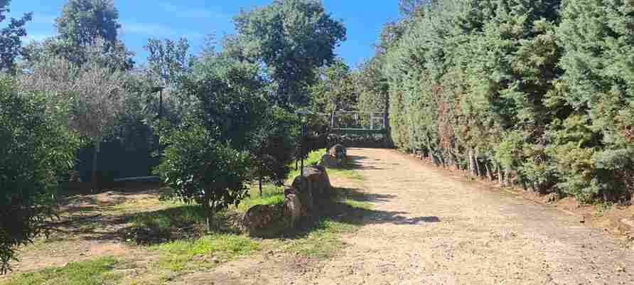 WhatsApp Image 2023-10-14 at 10.47.20_1_11zon