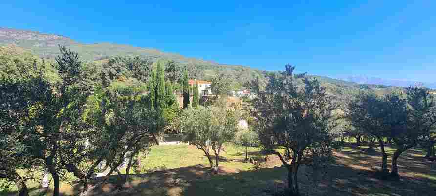 WhatsApp Image 2023-10-14 at 10.47.50_9_11zon