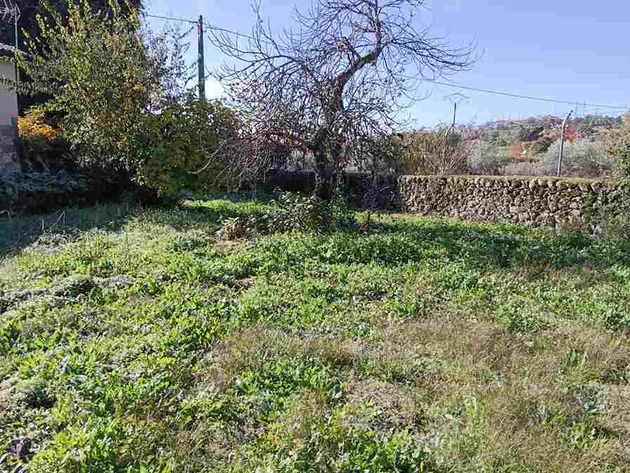 WhatsApp Image 2023-11-24 at 09.24.45 (1)_2_11zon