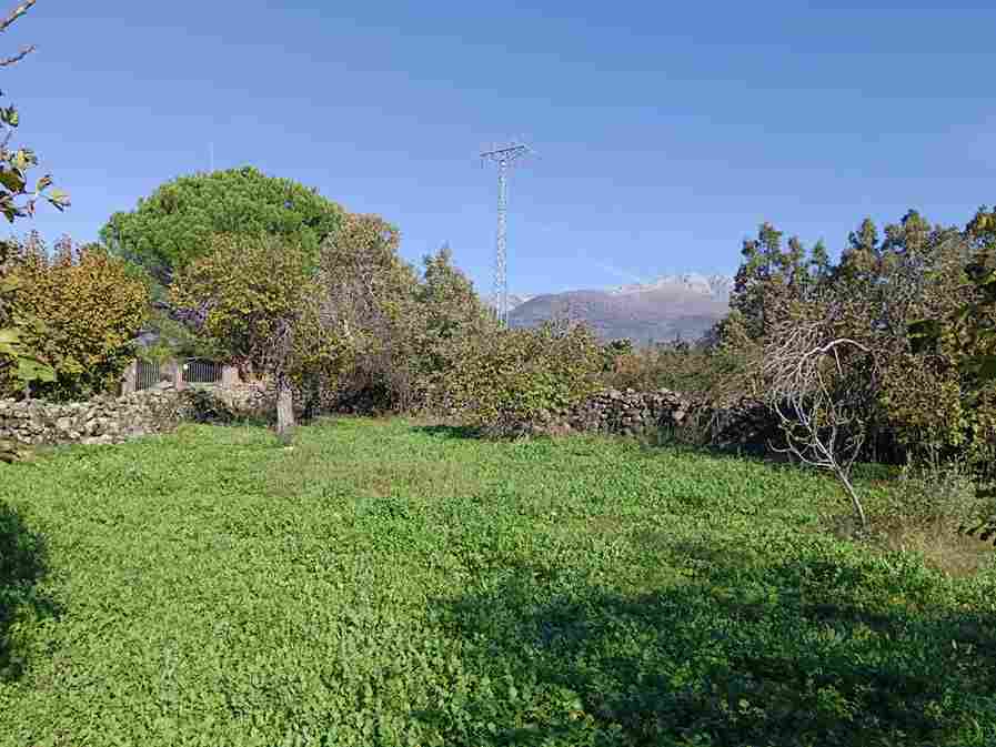 WhatsApp Image 2023-11-24 at 09.24.45 (2)_3_11zon