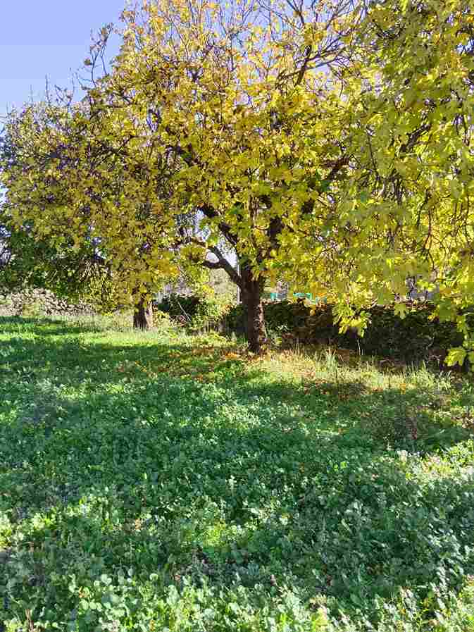 WhatsApp Image 2023-11-24 at 09.24.45_4_11zon