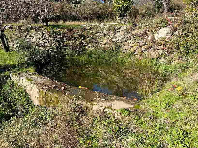 WhatsApp Image 2023-12-20 at 10.27.03 (5)_5_11zon