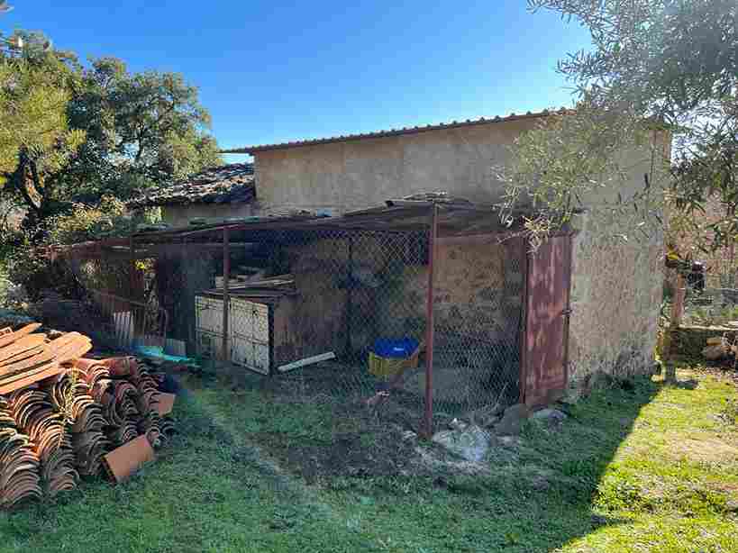 WhatsApp Image 2023-12-20 at 10.27.03 (7)_7_11zon