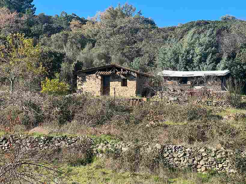 WhatsApp Image 2023-12-20 at 10.27.03 (8)_8_11zon