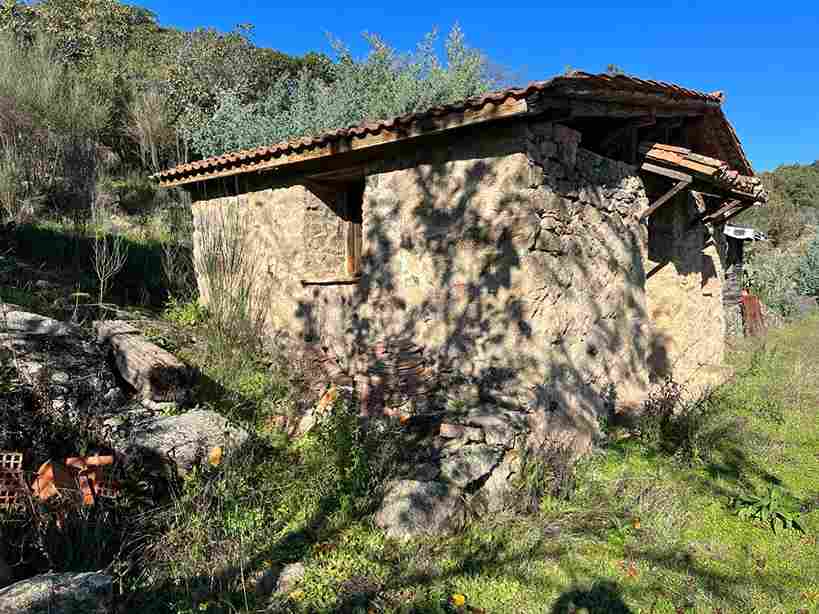 WhatsApp Image 2023-12-20 at 10.33.01 (15)_41_11zon