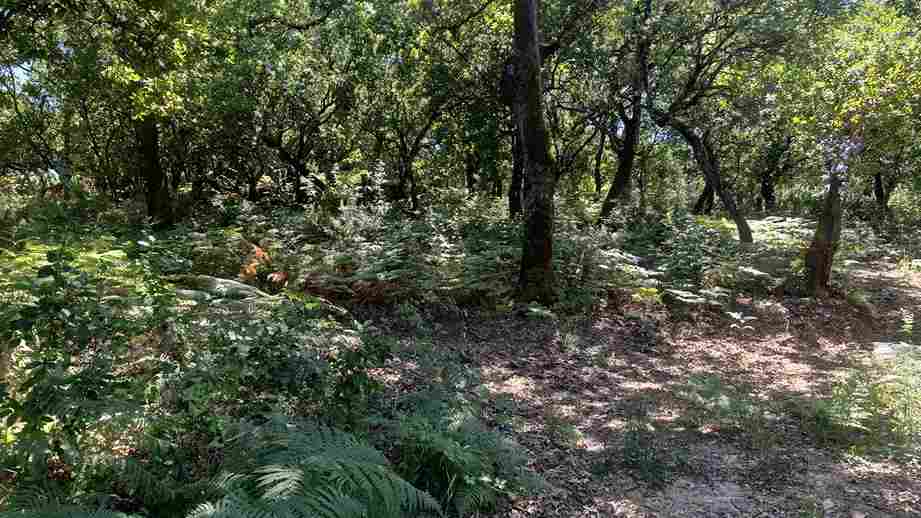 WhatsApp Image 2024-06-13 at 12.28.38 PM_2_11zon