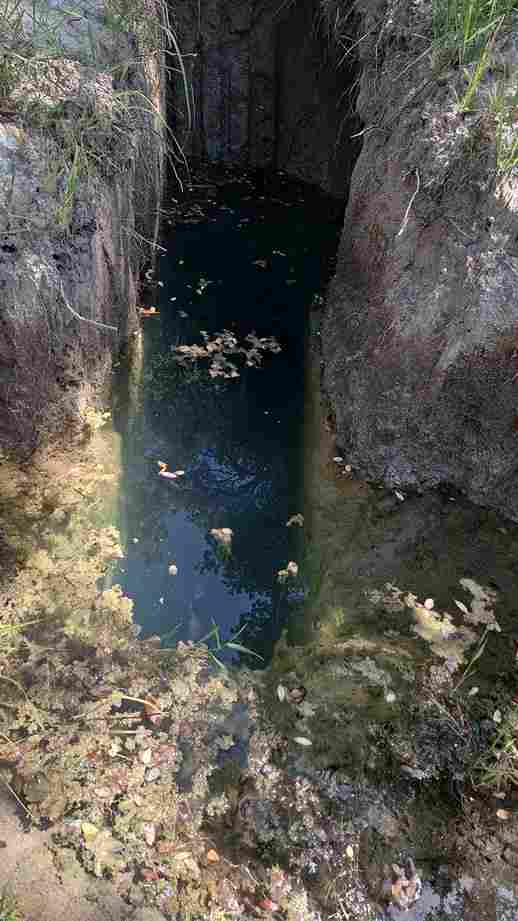 WhatsApp Image 2024-06-13 at 12.28.39 PM_3_11zon