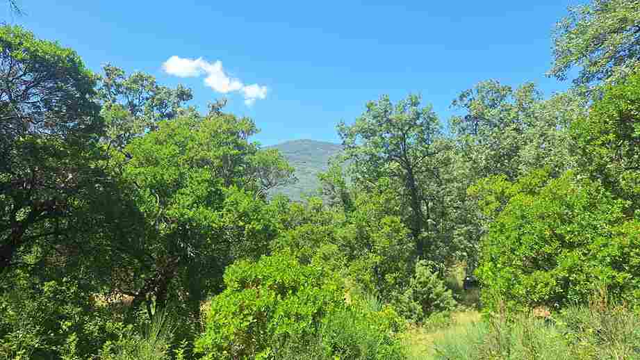 WhatsApp Image 2024-06-13 at 12.28.42 PM_10_11zon