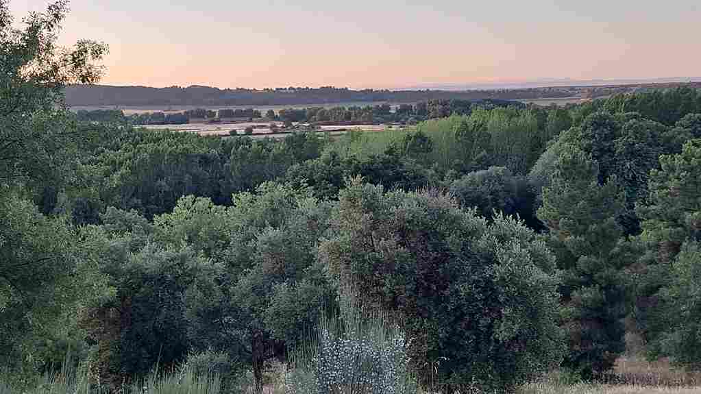 WhatsApp Image 2024-06-16 at 7.07.23 AM_11_11zon