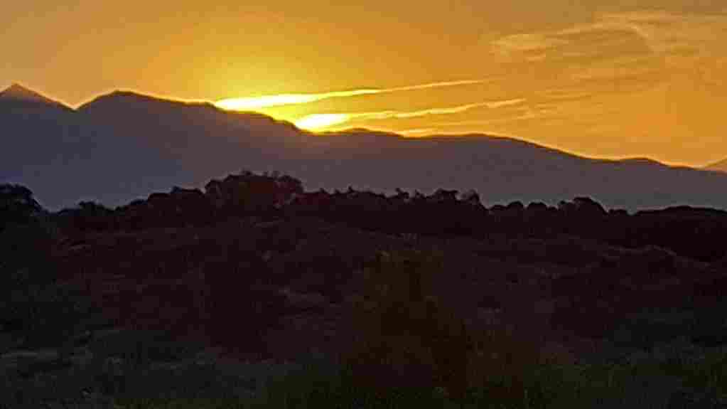 WhatsApp Image 2024-06-16 at 7.07.28 AM_12_11zon