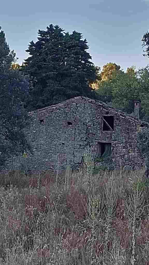 WhatsApp Image 2024-06-16 at 7.19.15 AM_21_11zon