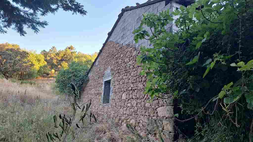 WhatsApp Image 2024-06-16 at 7.22.56 AM_27_11zon