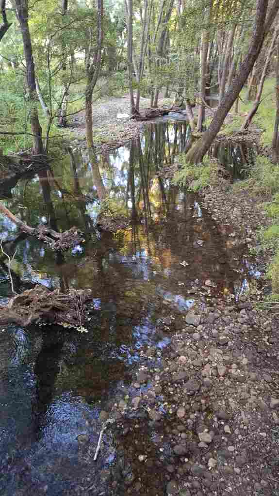 WhatsApp Image 2024-06-16 at 7.25.49 AM_32_11zon