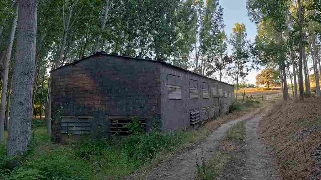 WhatsApp Image 2024-06-16 at 7.31.40 AM_36_11zon