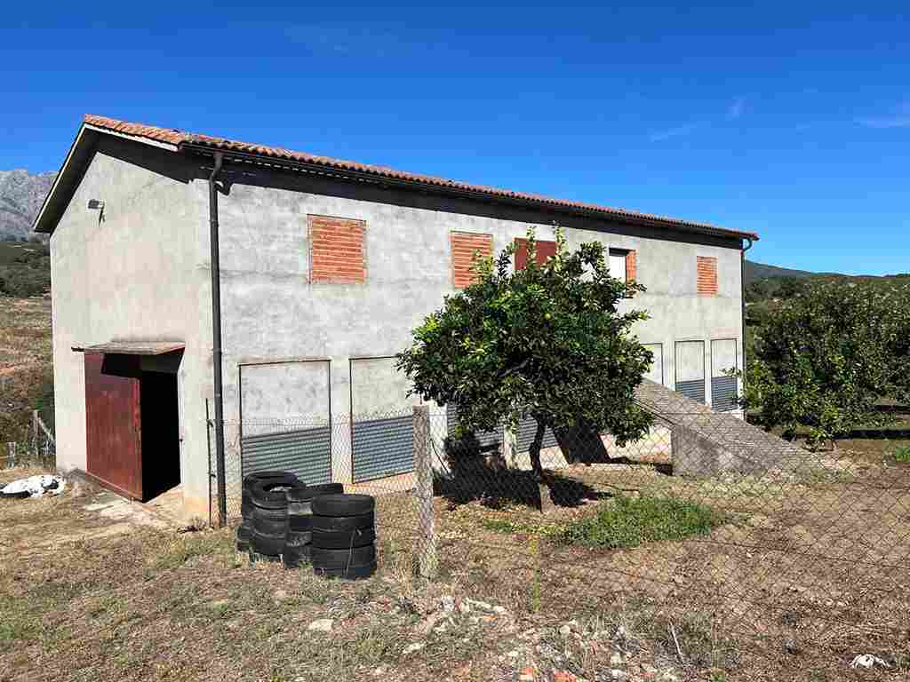 WhatsApp Image 2024-09-28 at 6.32.31 PM_3_11zon