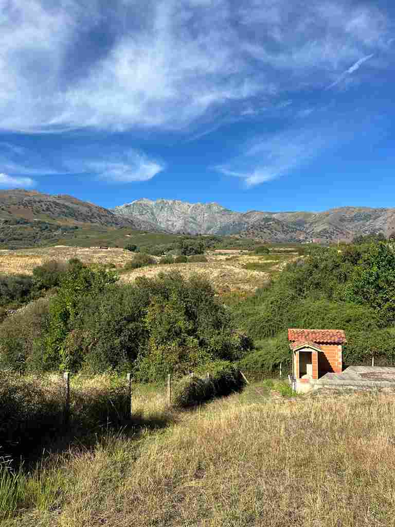 WhatsApp Image 2024-09-28 at 6.32.39 PM_9_11zon