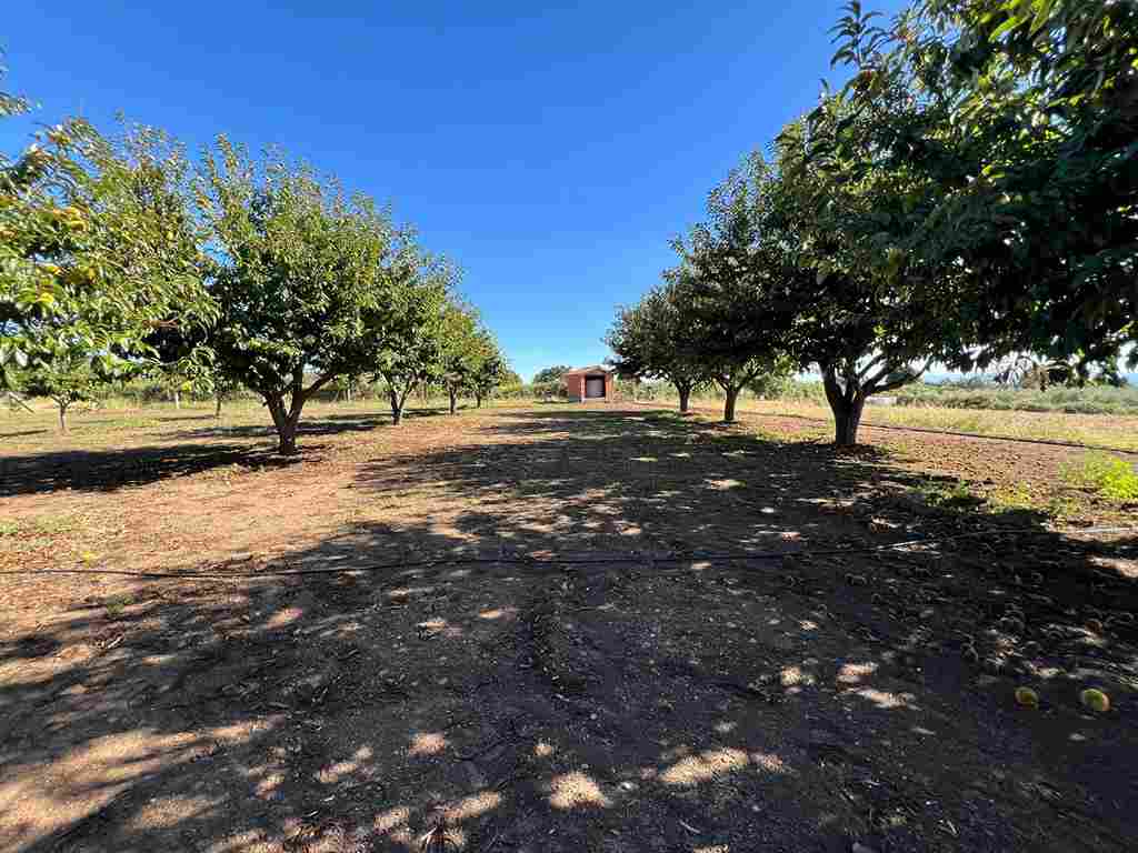 WhatsApp Image 2024-09-28 at 6.32.59 PM_11_11zon