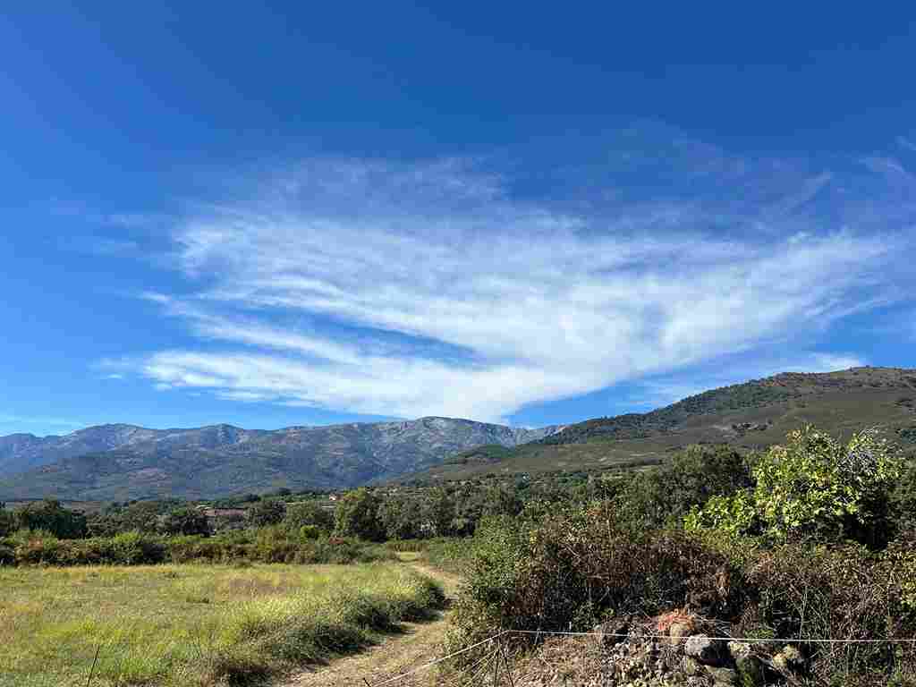 WhatsApp Image 2024-09-28 at 6.33.07 PM_16_11zon