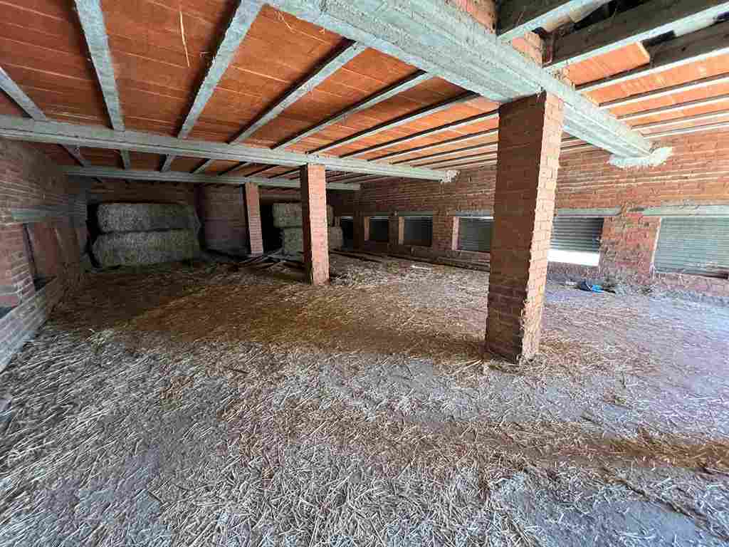 WhatsApp Image 2024-09-28 at 6.33.15 PM (1)_24_11zon