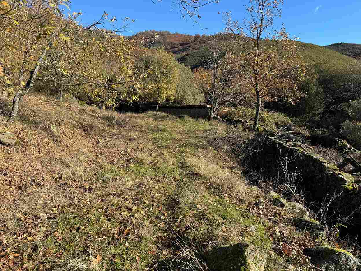 WhatsApp Image 2025-12-04 at 10.28.03 PM_2_11zon