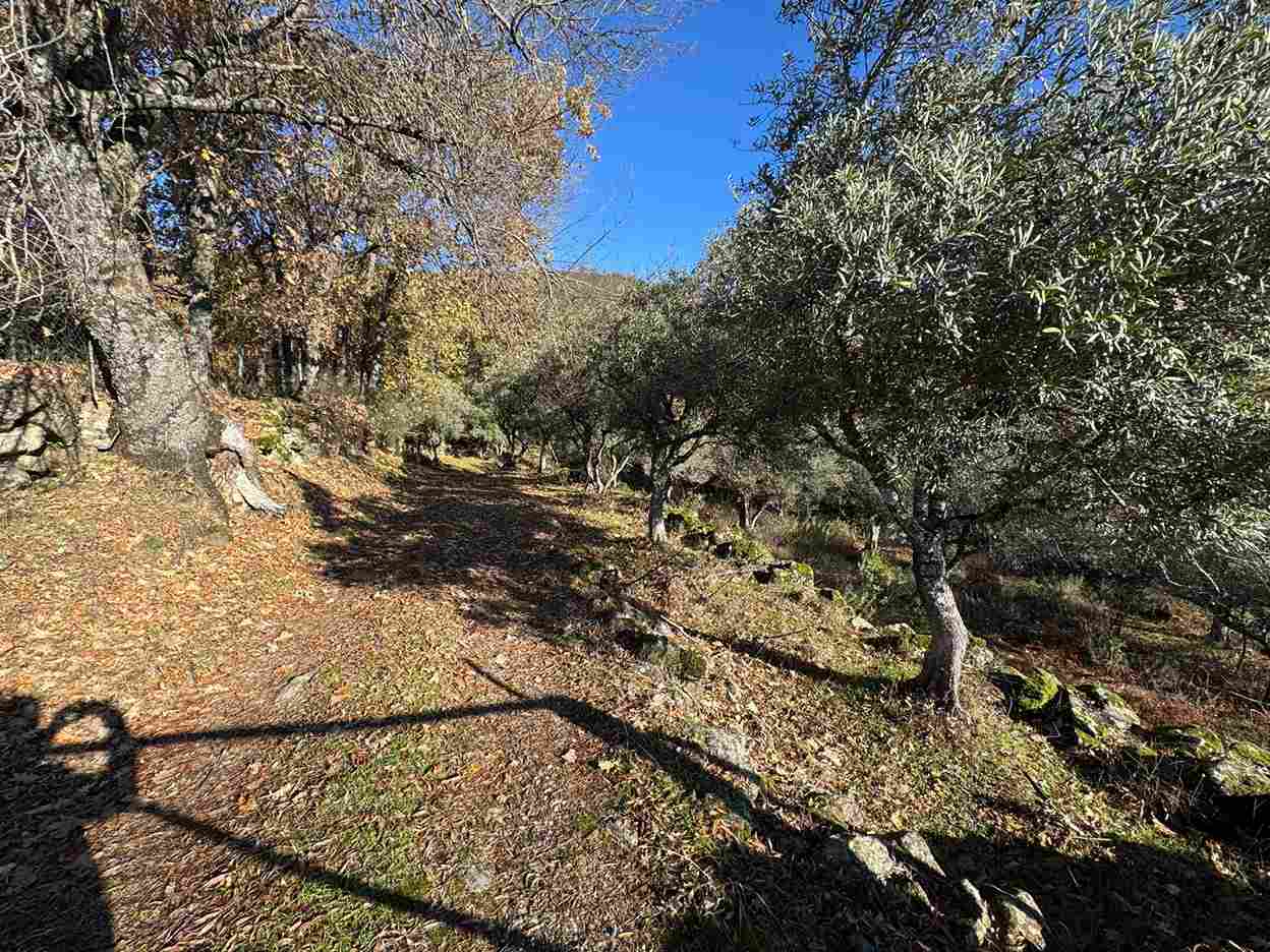 WhatsApp Image 2025-12-05 at 6.31.29 AM (1)_10_11zon