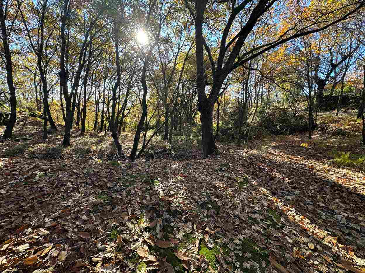 WhatsApp Image 2025-12-05 at 6.31.31 AM (3)_17_11zon