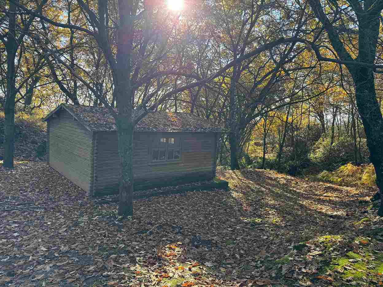 WhatsApp Image 2025-12-05 at 6.31.41 AM_23_11zon