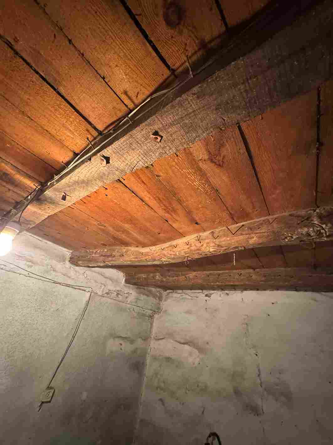 WhatsApp Image 2026-03-05 at 1.49.19 PM (5)_13_11zon