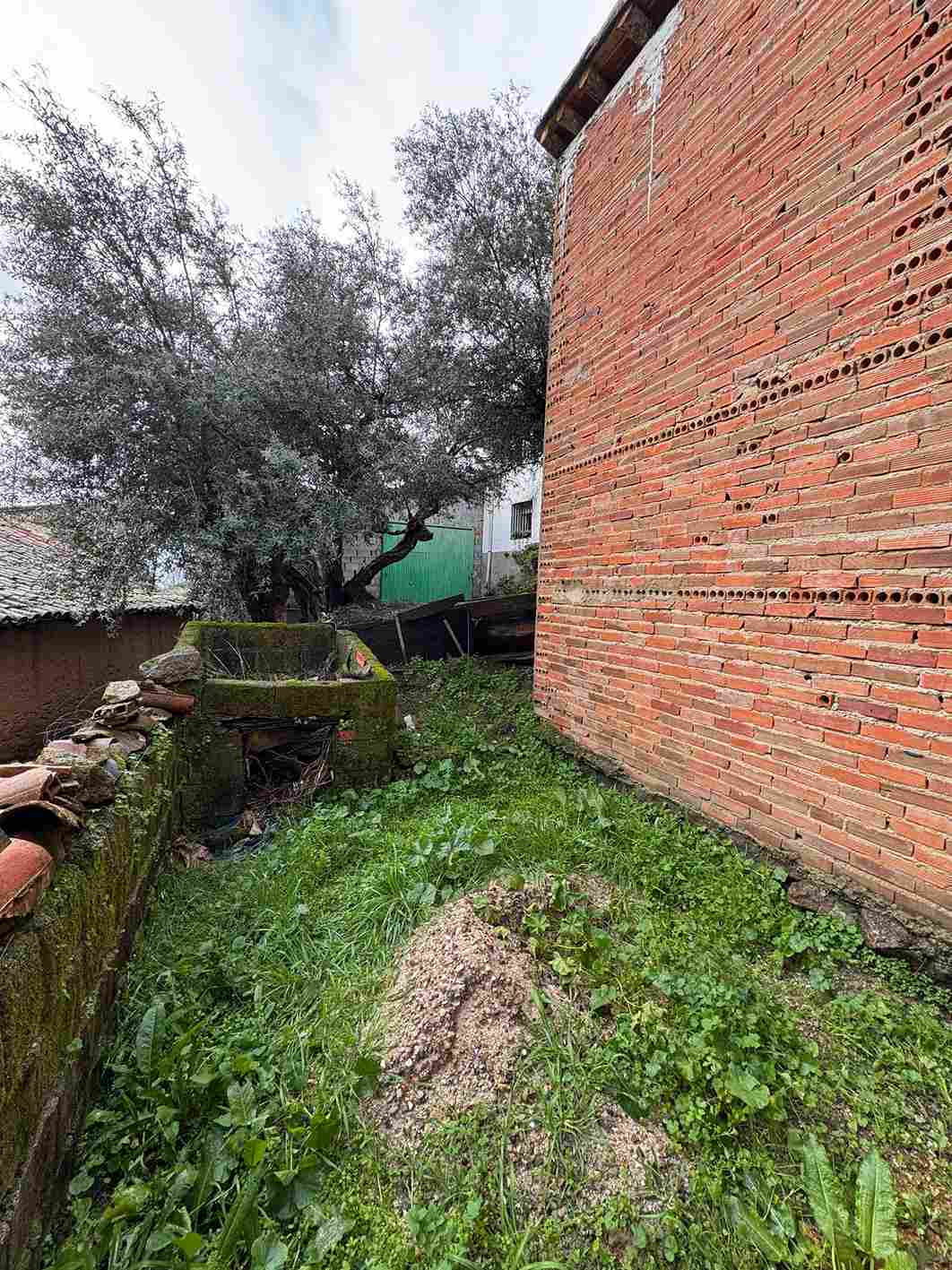 WhatsApp Image 2026-03-05 at 1.49.20 PM (6)_23_11zon