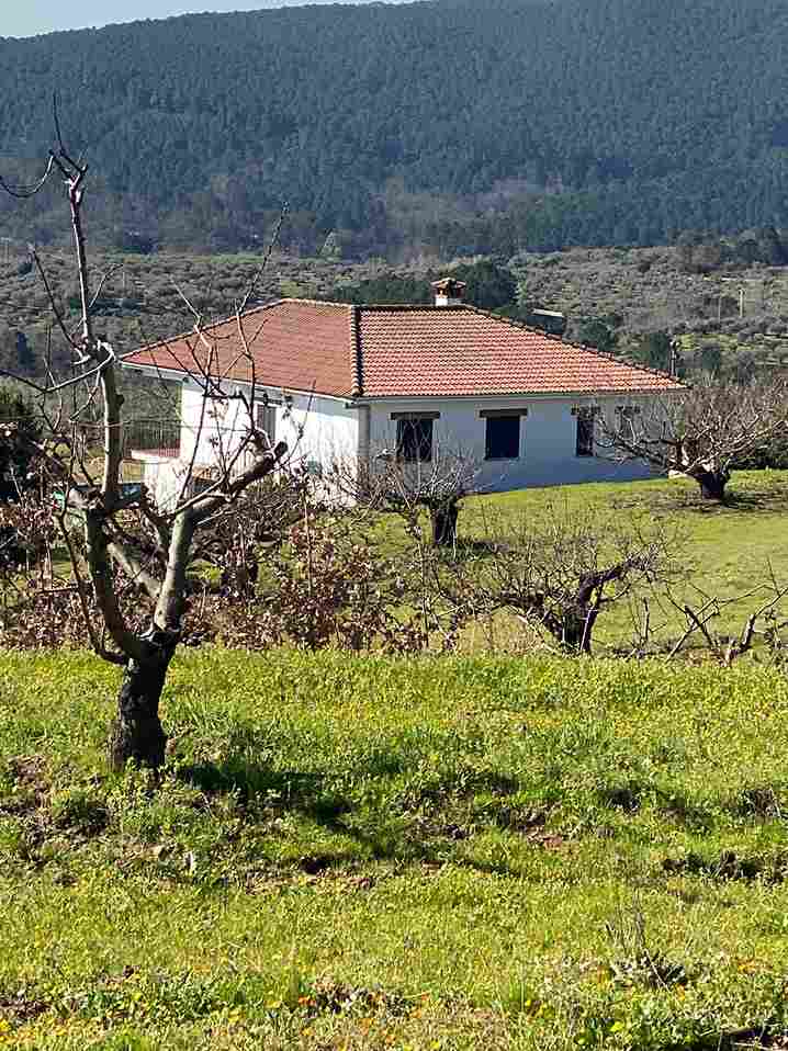 WhatsApp Image 2026-03-12 at 2.16.41 PM_46_11zon