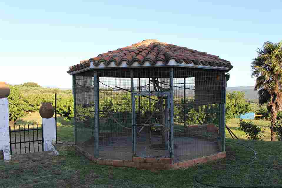 WhatsApp Image 2026-03-12 at 6.00.37 PM (3)_86_11zon