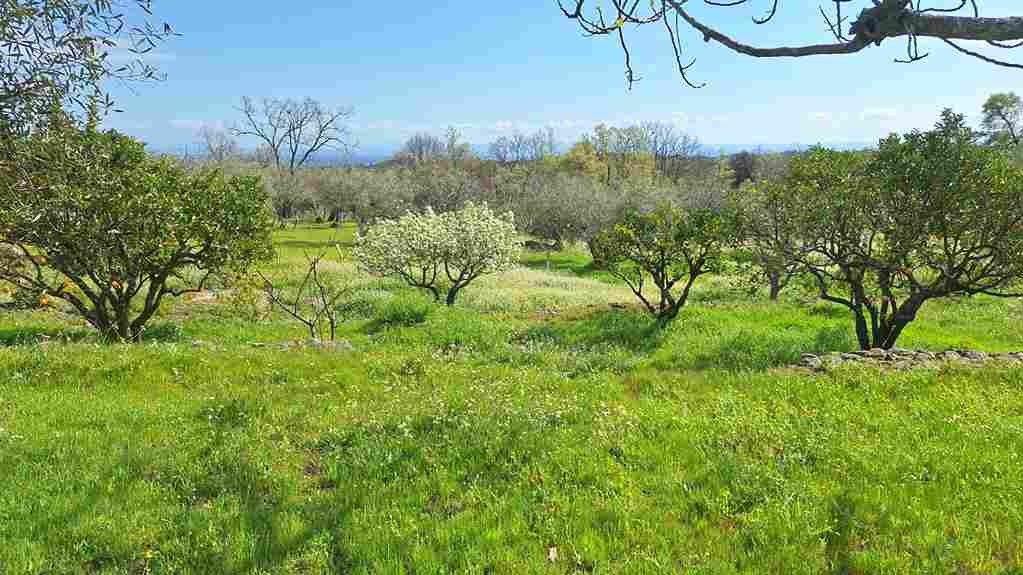 WhatsApp Image 2026-03-22 at 4.11.38 PM (5)_5_11zon