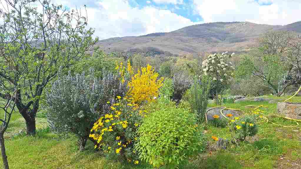 WhatsApp Image 2026-03-22 at 4.11.39 PM (3)_12_11zon