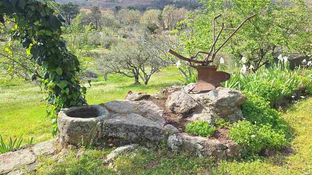 WhatsApp Image 2026-03-22 at 4.11.39 PM (9)_18_11zon