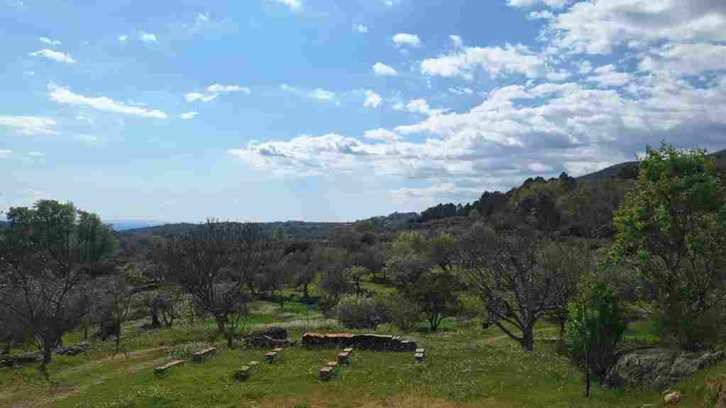 WhatsApp Image 2026-03-22 at 4.11.51 PM (4)_43_11zon