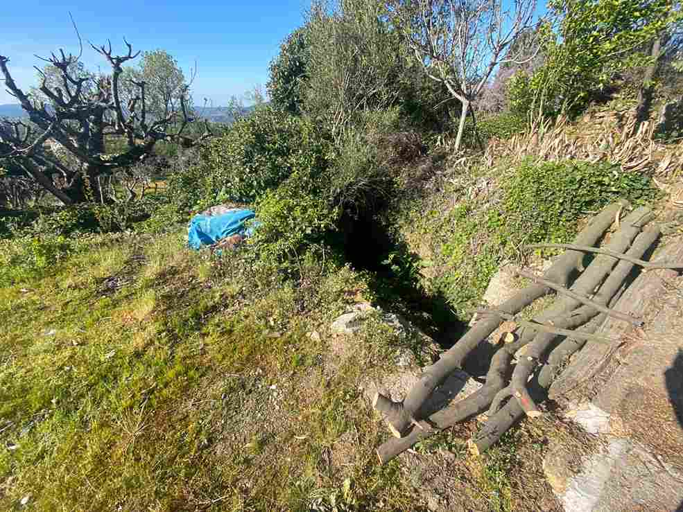 WhatsApp Image 2026-03-25 at 1.26.30 PM (1)_3_11zon