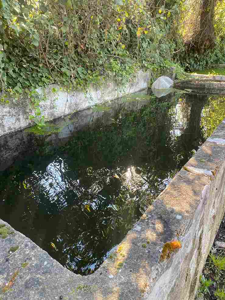 WhatsApp Image 2026-03-25 at 1.26.33 PM (1)_5_11zon