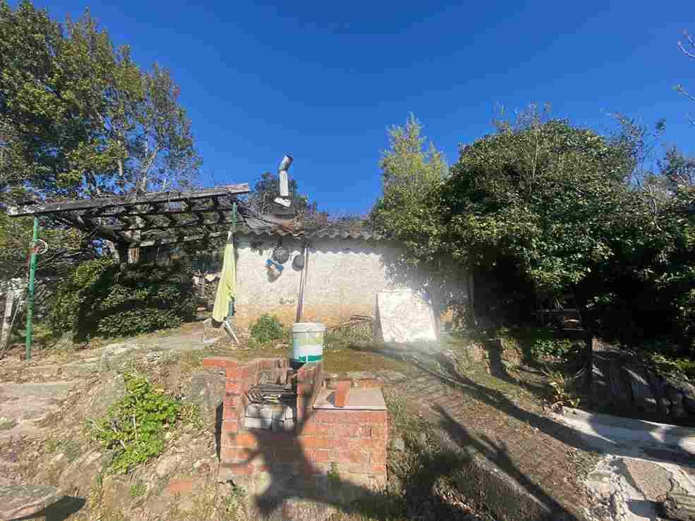 WhatsApp Image 2026-03-25 at 1.26.39 PM (13)_21_11zon