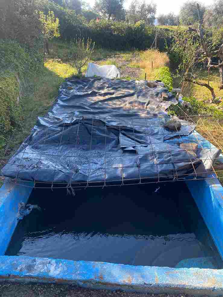 WhatsApp Image 2026-03-25 at 1.26.39 PM (2)_10_11zon