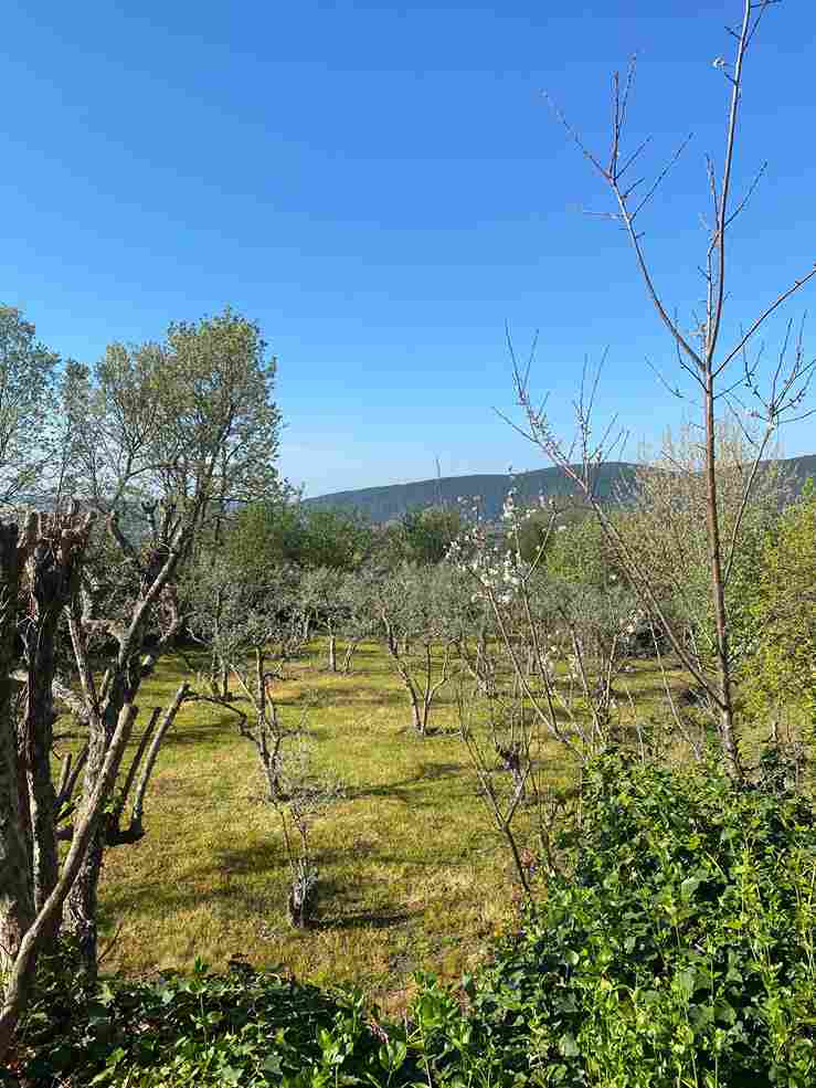 WhatsApp Image 2026-03-25 at 1.26.39 PM (4)_12_11zon