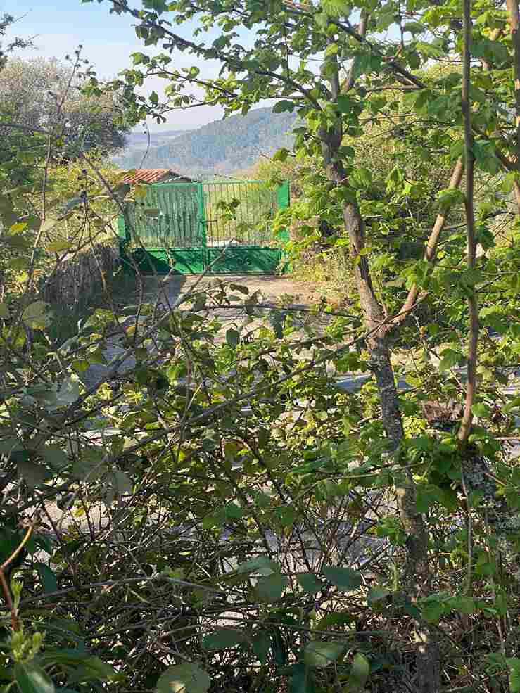 WhatsApp Image 2026-03-25 at 1.26.39 PM (8)_16_11zon