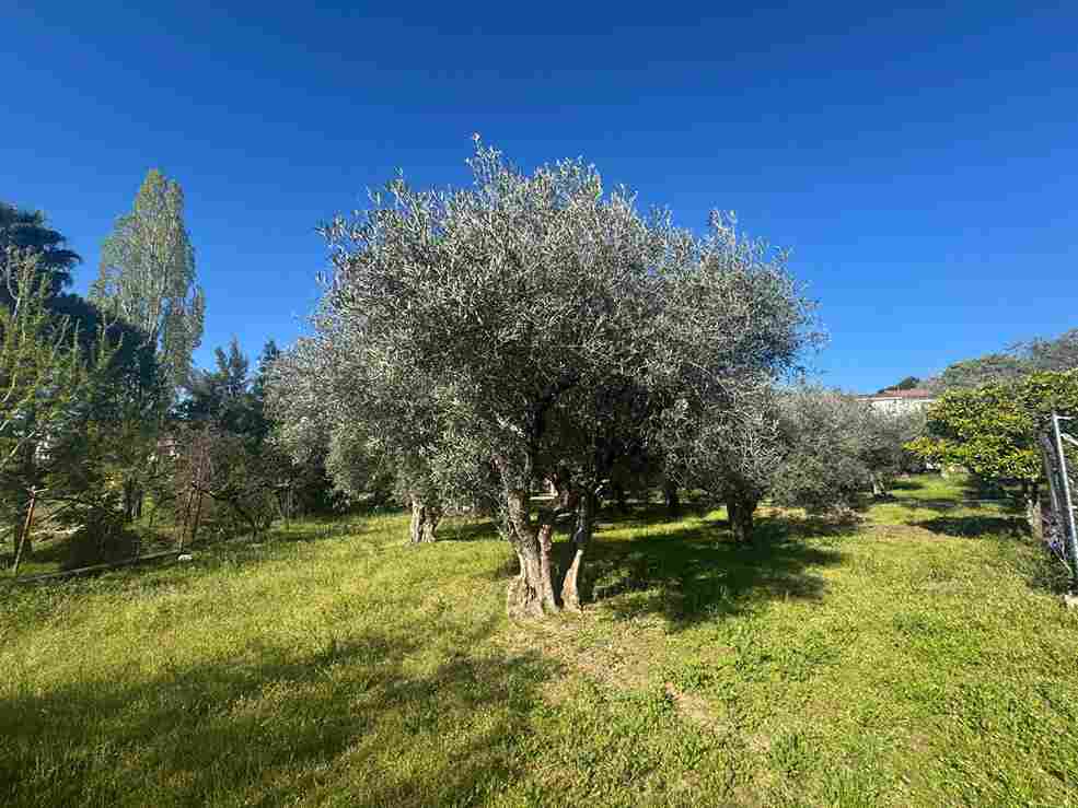 WhatsApp Image 2026-04-01 at 10.51.21 AM (1)_4_11zon