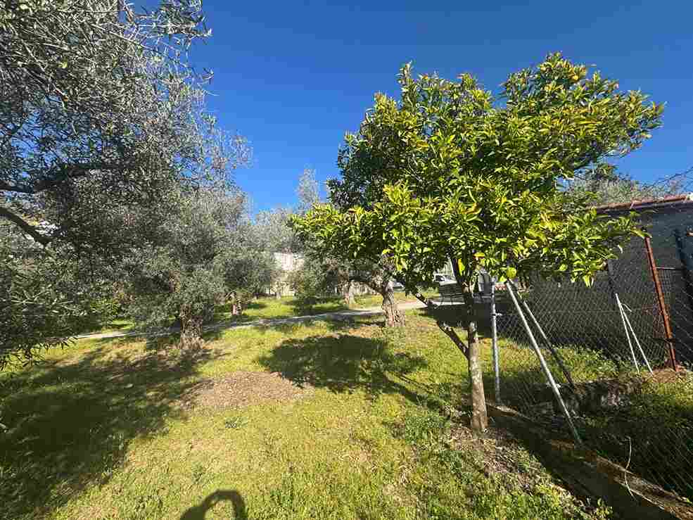 WhatsApp Image 2026-04-01 at 10.51.21 AM (2)_5_11zon