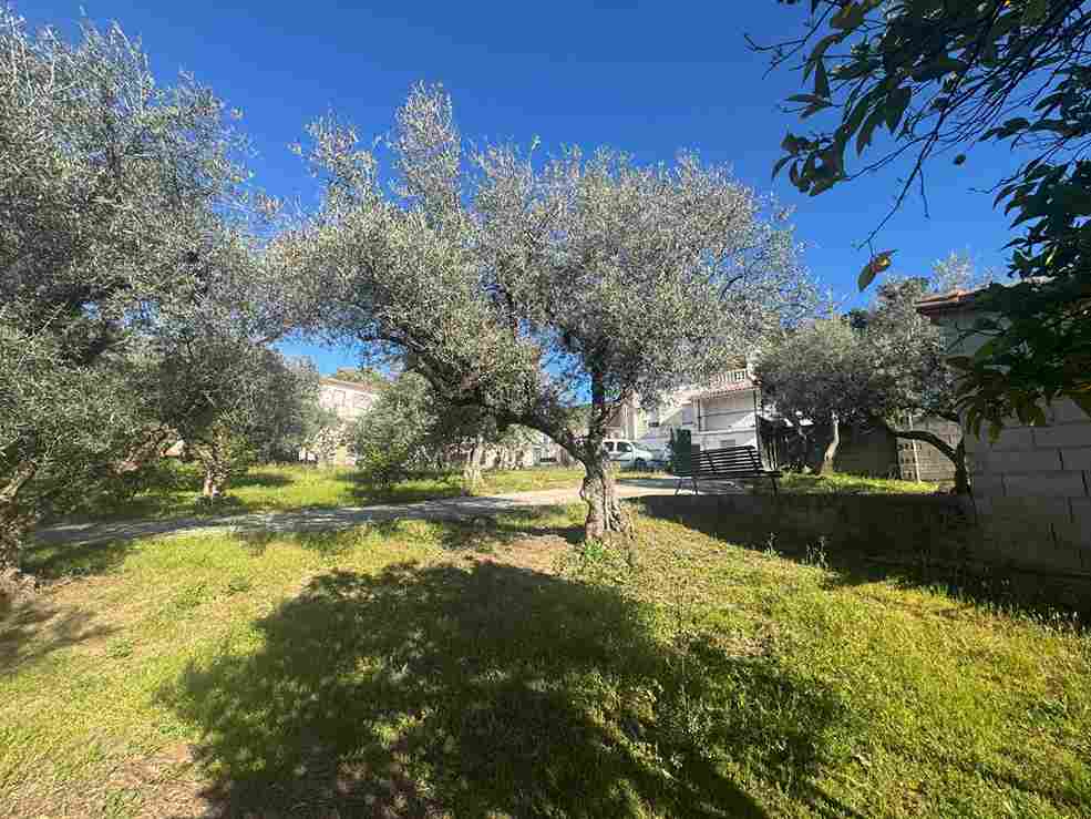 WhatsApp Image 2026-04-01 at 10.51.21 AM (4)_7_11zon