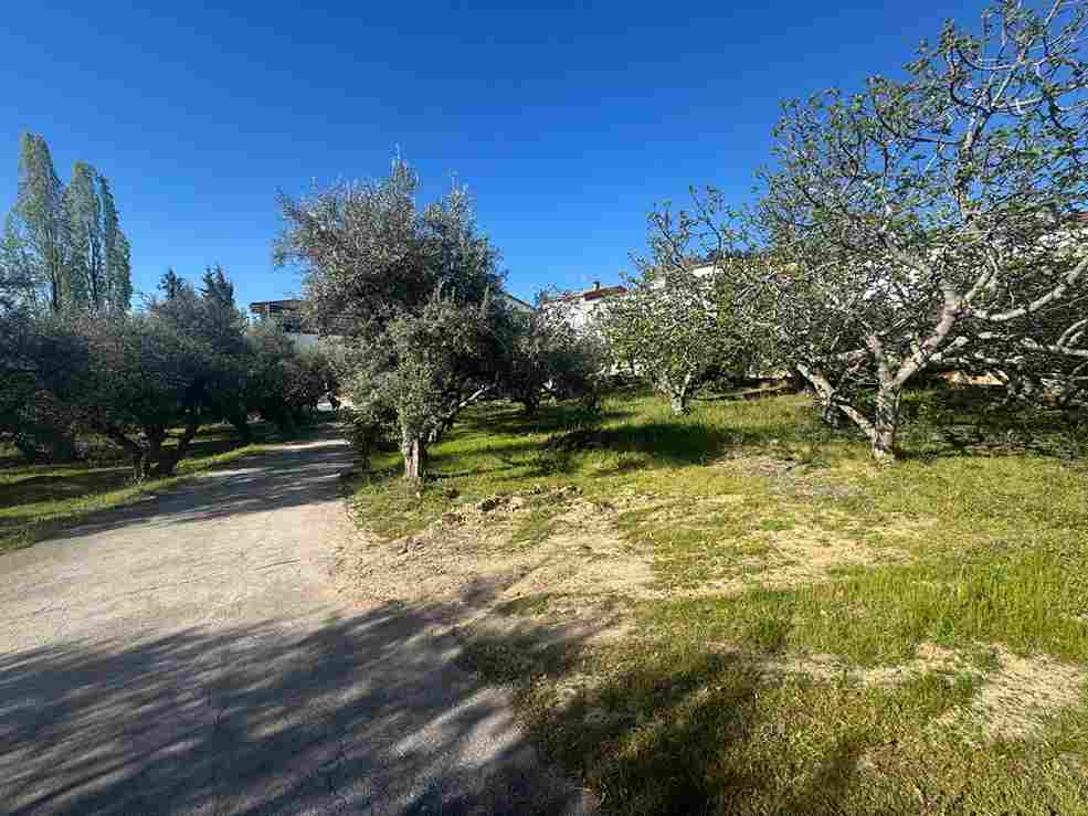 WhatsApp Image 2026-04-01 at 10.51.22 AM_13_11zon