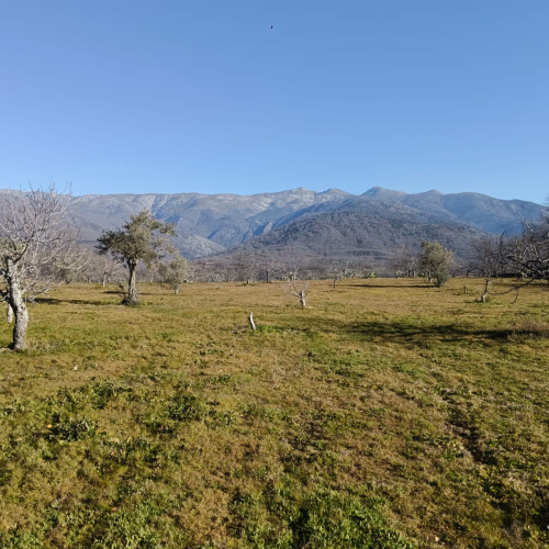 WhatsApp Image 2023-02-07 at 18.24.24 (1) WhatsApp Image 2023-02-07 at 18.24.24 (1)